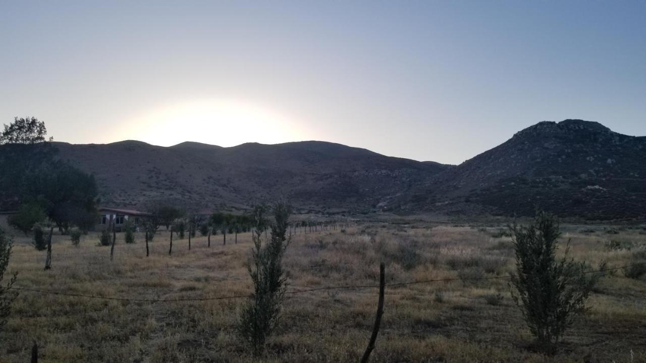 Cabanas Los Laureles Ruta Del Vino Bc Ensenada Esterno foto